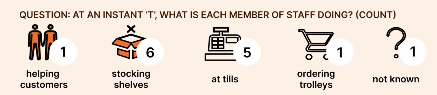 Survey of what each member of staff is doing at a given moment